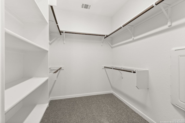 walk in closet featuring carpet flooring