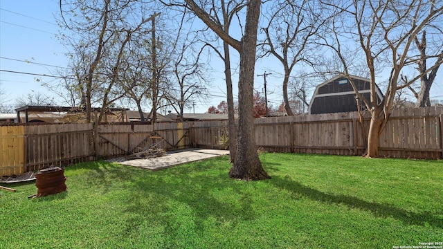 view of yard featuring a patio area