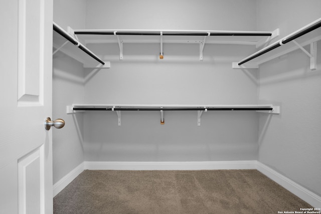 spacious closet featuring carpet