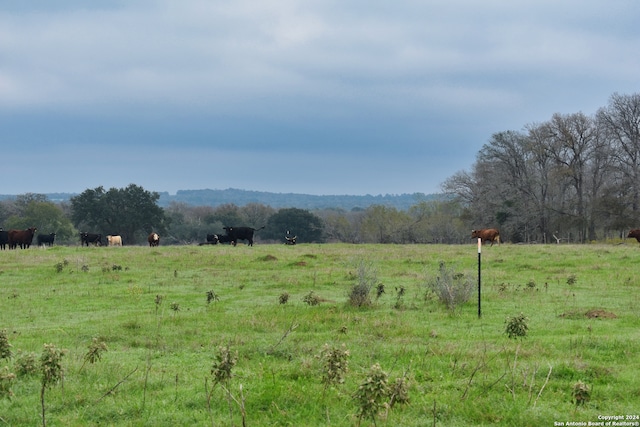 Listing photo 2 for LOT6 Tenney Creek Rd, Luling TX 78648