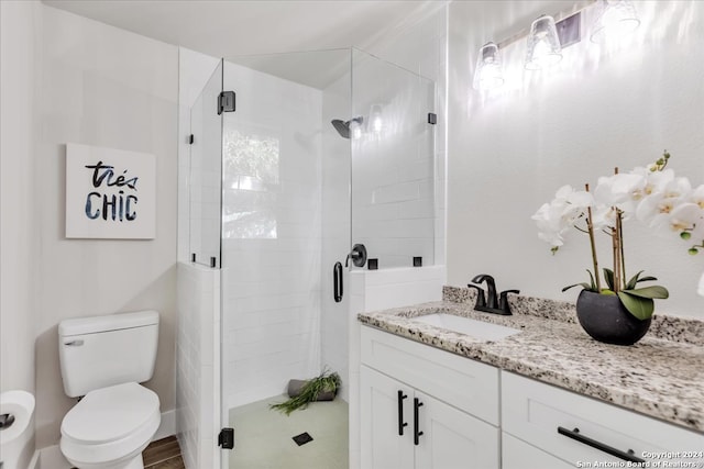 bathroom with walk in shower, toilet, and vanity