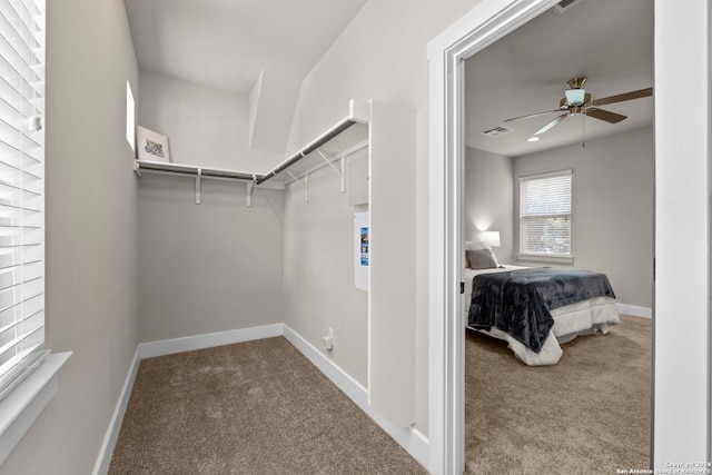 walk in closet with carpet flooring, ceiling fan, and visible vents