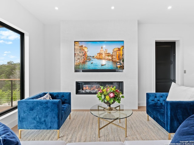 living room featuring hardwood / wood-style flooring