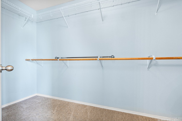 spacious closet with carpet floors