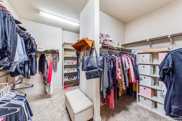 walk in closet with carpet floors