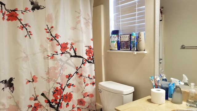 full bathroom with toilet, a shower with curtain, and vanity