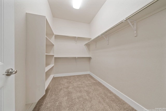 walk in closet with light colored carpet