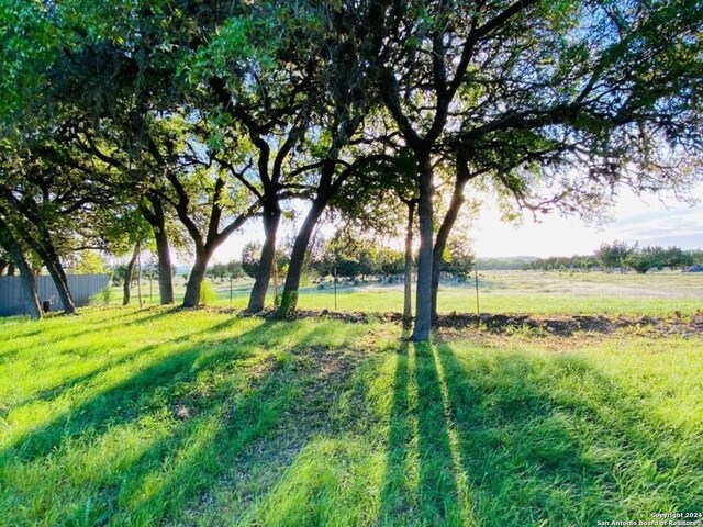 view of yard with a rural view