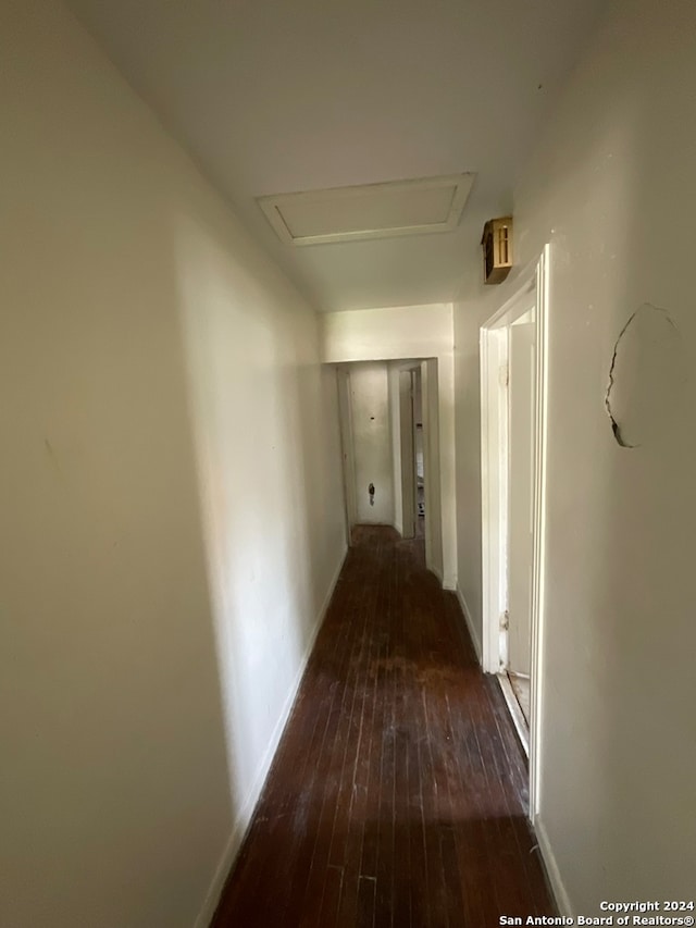 hallway featuring wood-type flooring