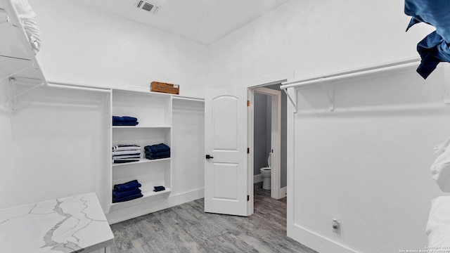 walk in closet with wood-type flooring