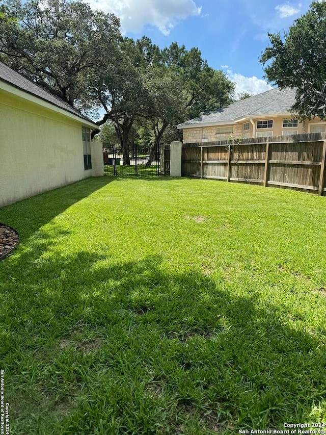 view of yard