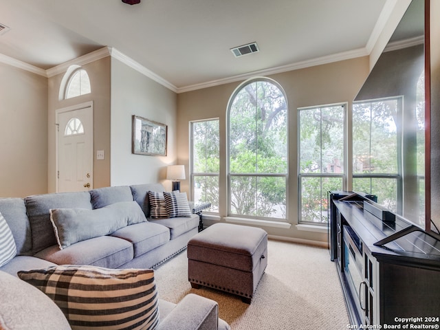 living room with crown molding and light carpet