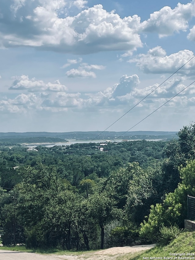 313 La Paloma Dr, Canyon Lake TX, 78133 land for sale