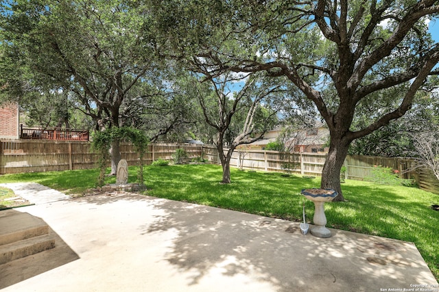 view of yard with a patio