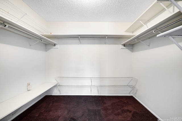 walk in closet featuring carpet flooring