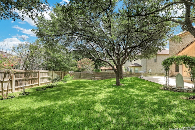 view of yard with a patio