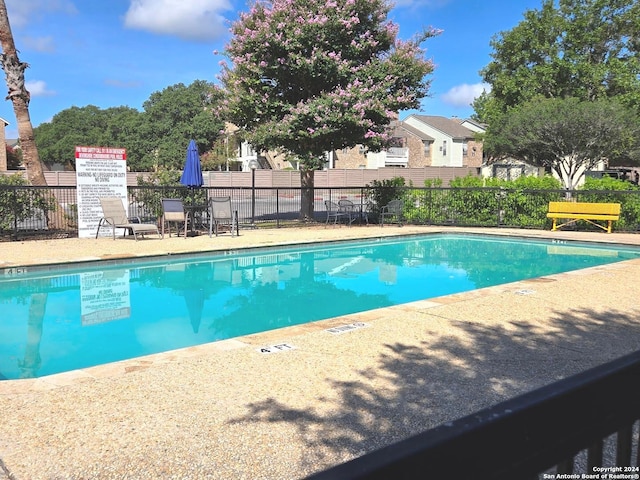 view of swimming pool