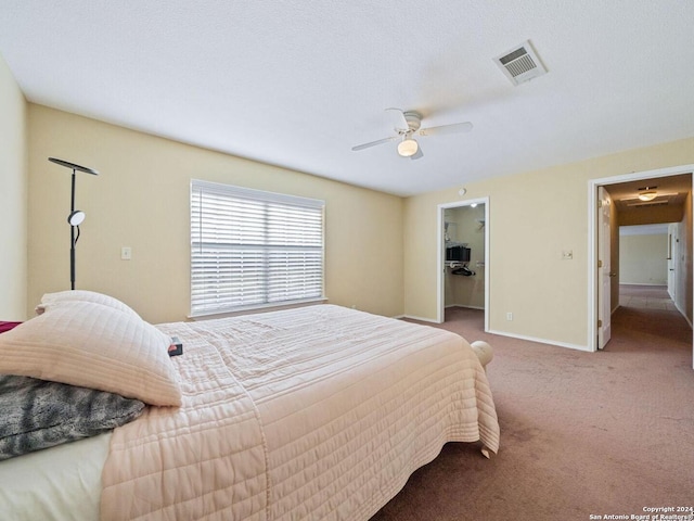 bedroom featuring a walk in closet, ceiling fan, carpet flooring, and a closet