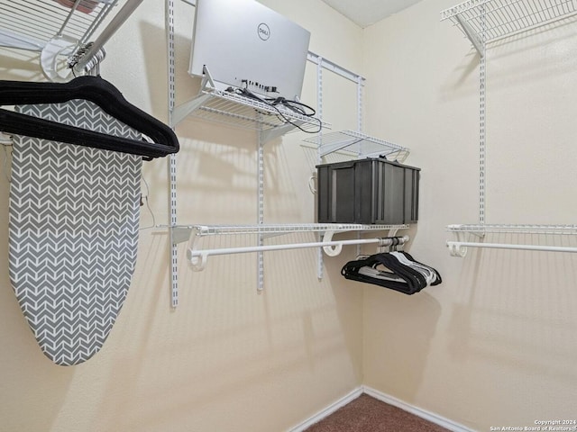 spacious closet featuring carpet floors