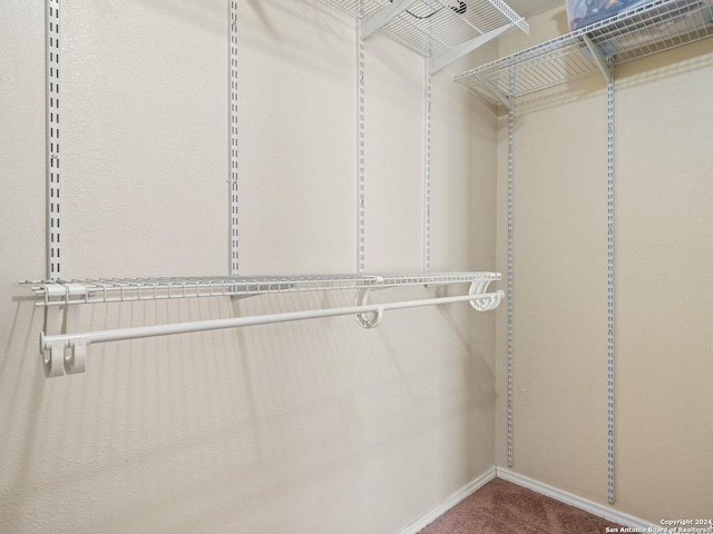 walk in closet with carpet flooring