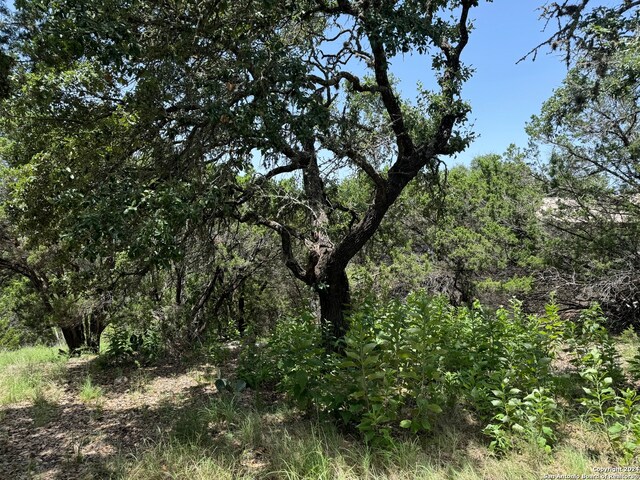 169 Black Oak Dr, Canyon Lake TX, 78133 land for sale