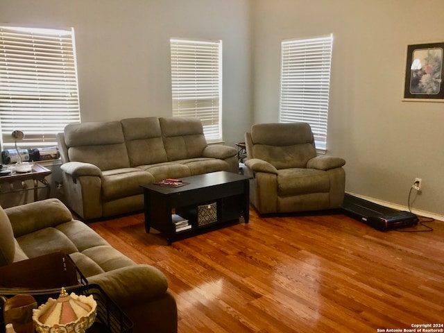 living room featuring hardwood / wood-style floors