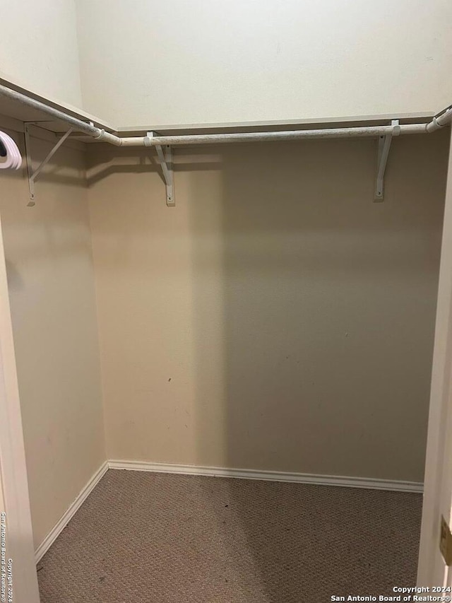 walk in closet featuring carpet