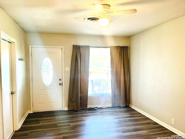 entrance foyer with dark wood-type flooring, a healthy amount of sunlight, and a textured ceiling