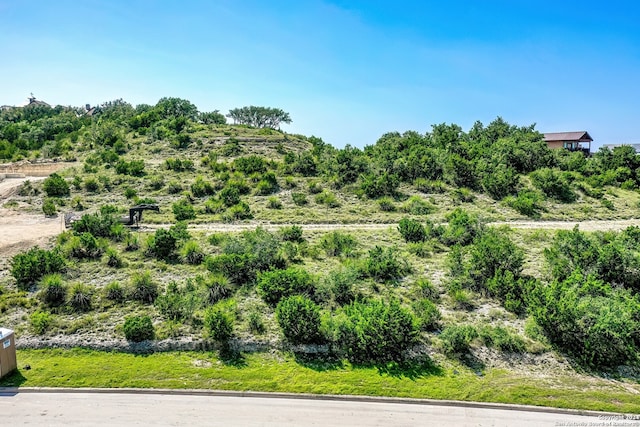 23811 Carina Cyn, San Antonio TX, 78255 land for sale