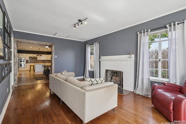 living room with rail lighting, plenty of natural light, and dark wood-type flooring