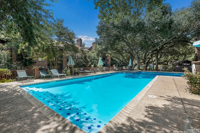 view of swimming pool with a patio