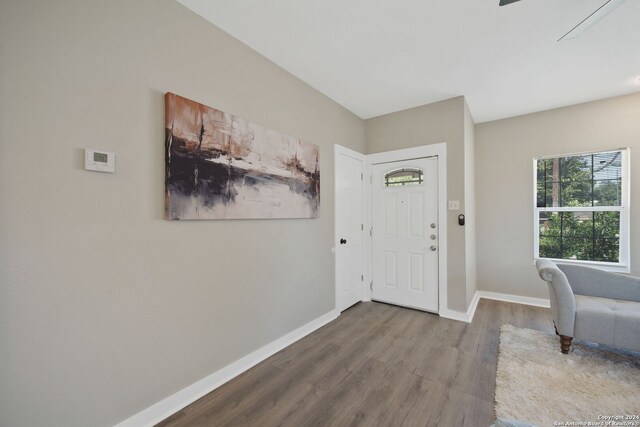 foyer with hardwood / wood-style flooring