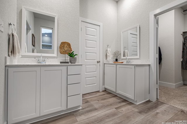 bathroom featuring hardwood / wood-style flooring and vanity