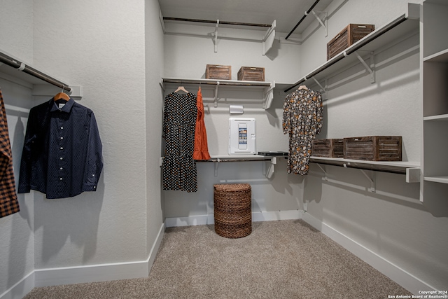 walk in closet with carpet floors