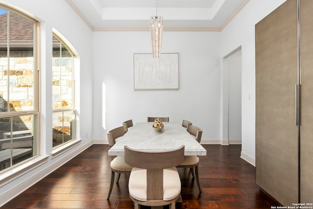 dining room with dark hardwood / wood-style floors and a raised ceiling