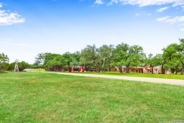 view of community featuring a yard