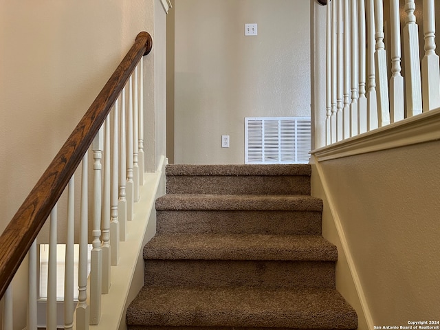 stairway featuring carpet flooring