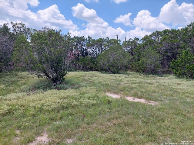 Listing photo 3 for 0TBD, LOT18 Inglewood, Canyon Lake TX 78133