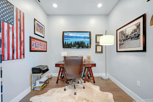 office space featuring wood-type flooring