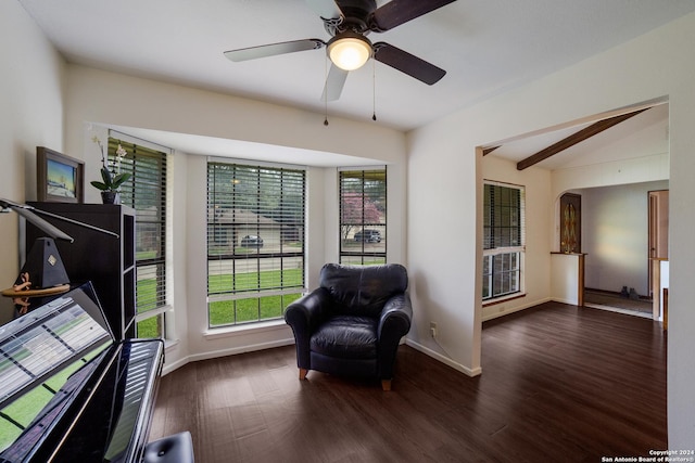 sitting room featuring dark wood-type flooring, ceiling fan, and vaulted ceiling