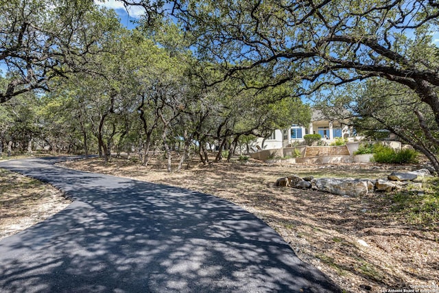 24434 Blanco Rd, San Antonio, TX 78260 - view of road