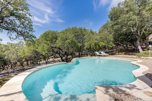 24434 Blanco Rd, San Antonio, TX 78260 - view of outdoor pool