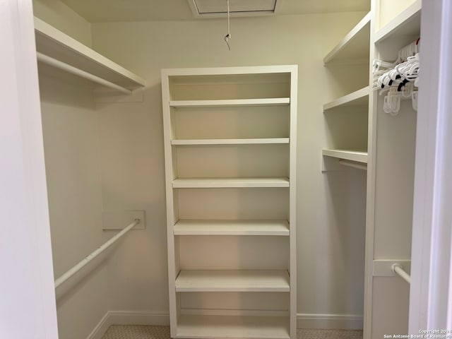 view of spacious closet