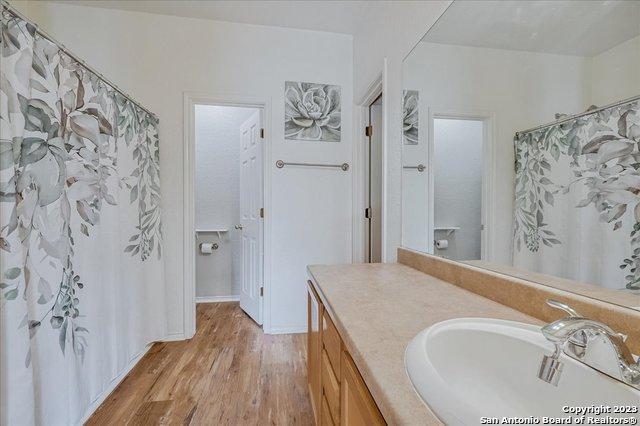 bathroom with vanity, hardwood / wood-style floors, and a shower with curtain