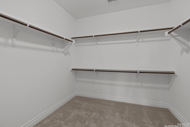 spacious closet featuring carpet