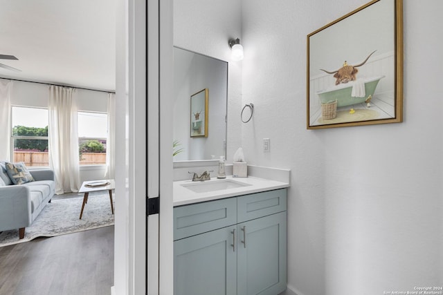 bathroom featuring vanity and hardwood / wood-style flooring