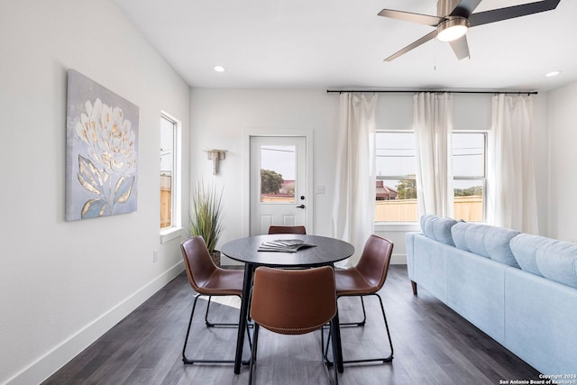 dining area with a wealth of natural light, ceiling fan, and dark hardwood / wood-style flooring