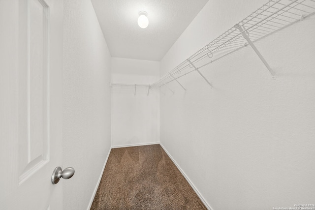 walk in closet with carpet flooring