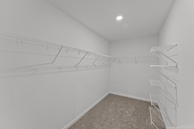 spacious closet with carpet flooring