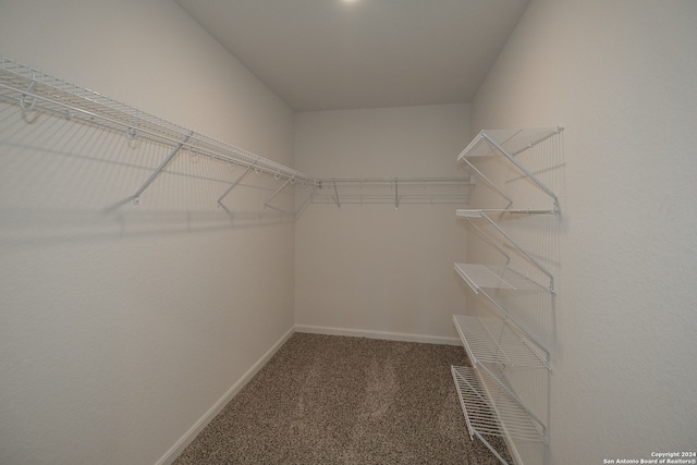 spacious closet with dark colored carpet